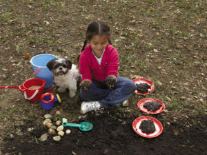 STEM projects